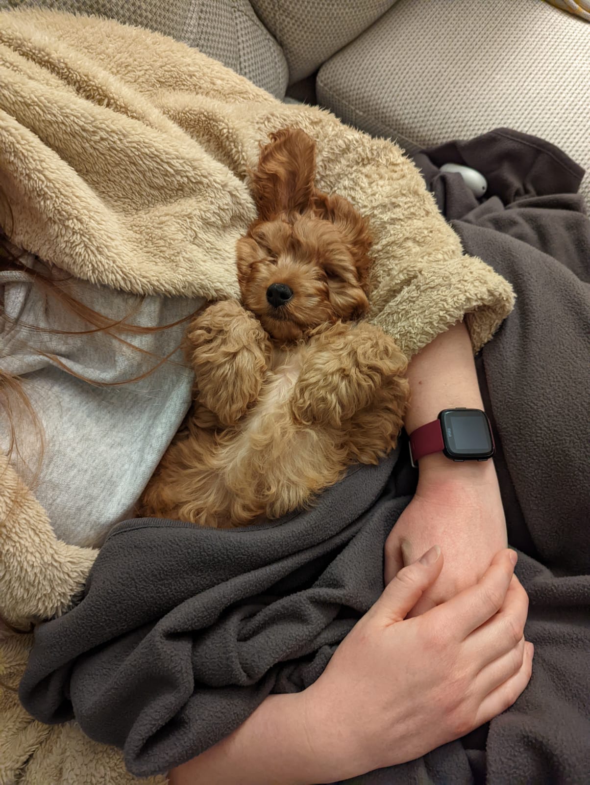 Sleeping Vinnie